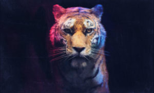 Imagem de um tigre modelado em CGI no software blender